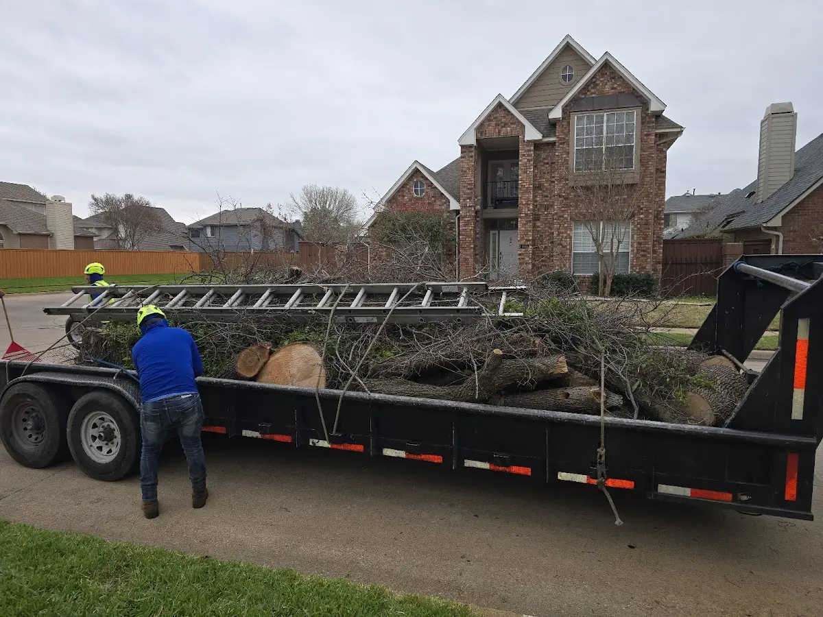 Expert Tree Fertilization with proper safety equipment in Antes Fort